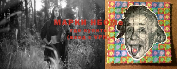 ешки Алексин