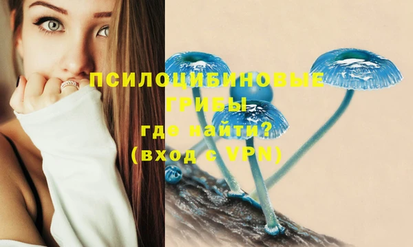ешки Алексин